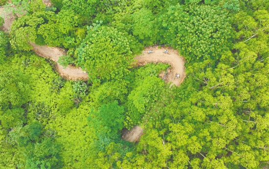 在恩平，可以一邊騎行，一邊欣賞美景。