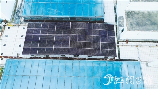 臺(tái)山市檔案館建筑屋頂上，一片深藍(lán)色的“光能矩陣”正悄然形成。