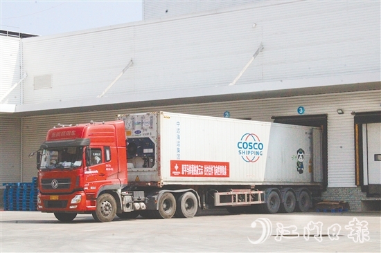 在廣東供銷(xiāo)（江門(mén)恩平）天業(yè)冷鏈物流產(chǎn)業(yè)園的支持下，恩平馬鈴薯實(shí)現(xiàn)出口外銷(xiāo)、錯(cuò)峰銷(xiāo)售。