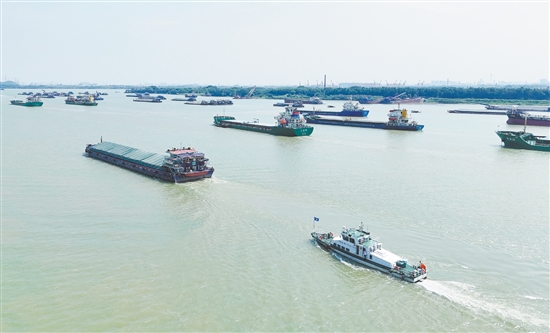 臺風來臨前，大批外地船舶有序進入江門銀洲湖、潭江、西江等水域避風。