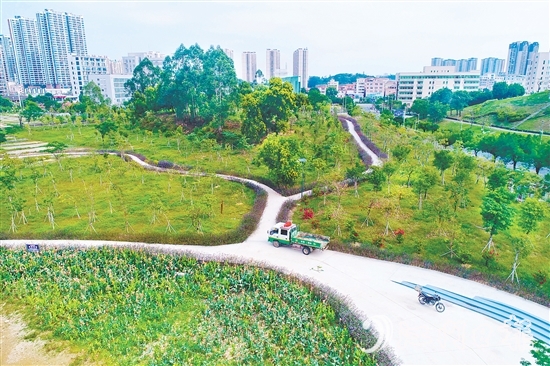 鶴山市聚焦城市交通重要點位，科學規(guī)劃，打造鶴山文化中心綠美鶴山示范點等，帶動城鄉(xiāng)一體綠美提升。