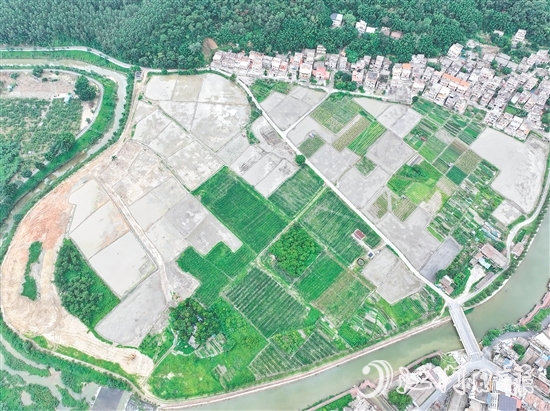 鶴城鎮(zhèn)水浪村農(nóng)業(yè)公園中的田塊錯(cuò)落有致。