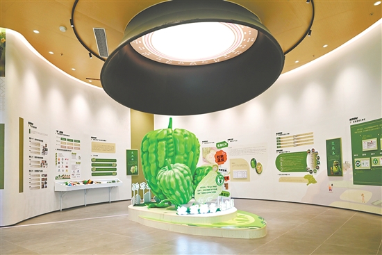 杜阮涼瓜博覽館。