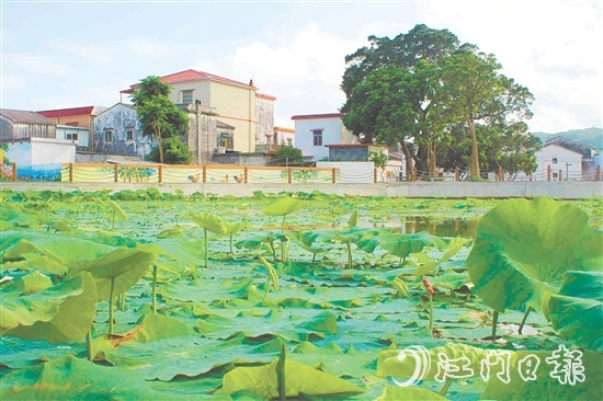 從產業(yè)協(xié)同到生態(tài)蝶變，從設施完善到文化繁榮，川島鎮(zhèn)甫草村甫草村以資源稟賦為基，展現(xiàn)新變化。