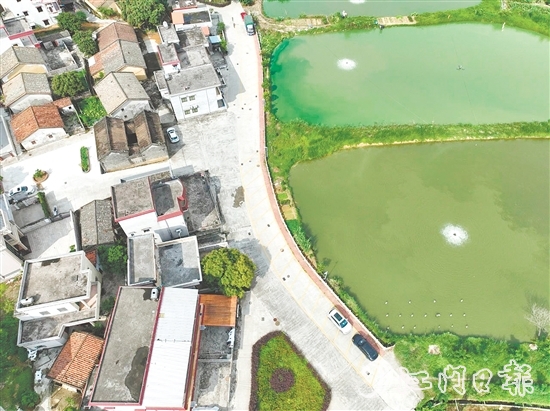 整治后的荔枝園村村道。