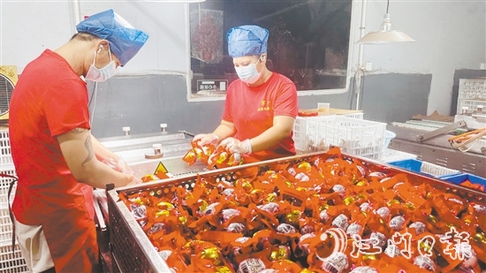 赤水鎮(zhèn)依托麻鴨養(yǎng)殖傳統優(yōu)勢，錨定“精深加工”做文章。