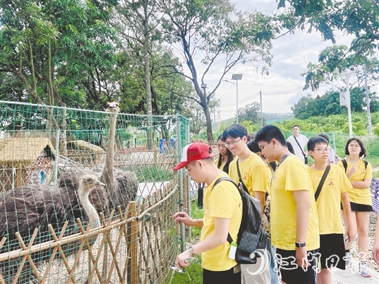 鳳鄉(xiāng)玉懷民宿打造的體驗(yàn)項(xiàng)目，吸引不少青少年前來參觀。