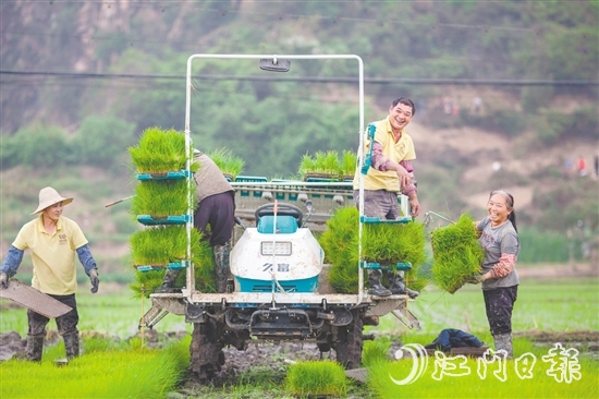 斗山鎮(zhèn)五福村以“產(chǎn)業(yè)融合+生態(tài)提質(zhì)+治理創(chuàng)新”的實(shí)踐路徑，將土地資源轉(zhuǎn)化為發(fā)展資本，讓傳統(tǒng)農(nóng)業(yè)迸發(fā)出現(xiàn)代活力。
