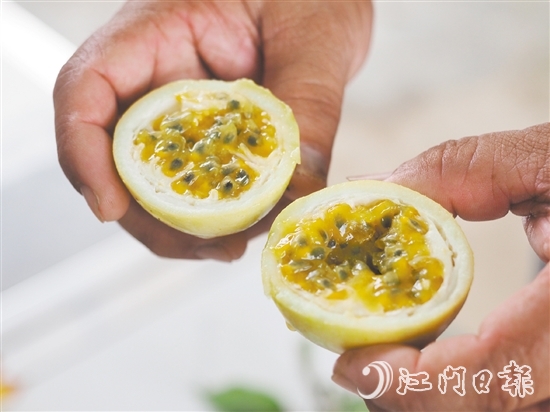 切開黃金百香果，酸甜的香氣撲面而來，十分誘人。