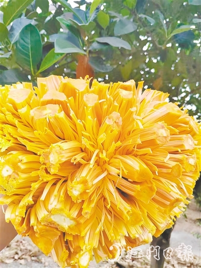 紅肉菠蘿蜜果實(shí)清香、口感脆甜且營養(yǎng)價(jià)值高。