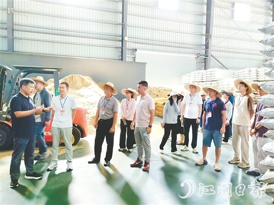 人大代表視察粵翔公司魚粉加工現(xiàn)場。