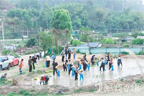 龍眠村把田間地頭打造成實(shí)踐研學(xué)地，探索發(fā)展農(nóng)文旅產(chǎn)業(yè)。