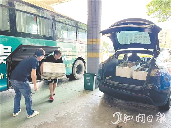 公交車司機及時將農產品運送至鶴山汽車總站，交由鶴山市供銷社工作人員分撥至合作商超與社區(qū)自提點等。