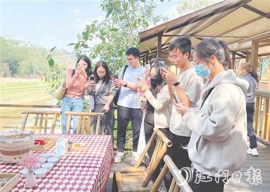 今年3月，開(kāi)平市組織市重點(diǎn)自媒體走進(jìn)大沙鎮(zhèn)開(kāi)展花海茶田系列采風(fēng)活動(dòng)。