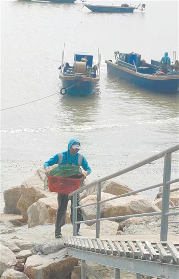 等到漁船靠岸，你可以在漁民處買到各種新鮮海鮮。