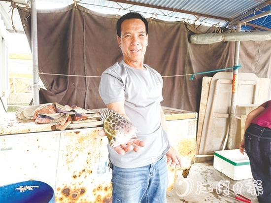 老漁民利叔展示新鮮漁獲。