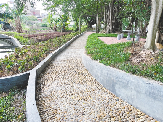 恩平自然村公園里裝設(shè)了石凳、石桌、鵝卵石健身路等設(shè)施，為村民提供更多的文化活動選擇。