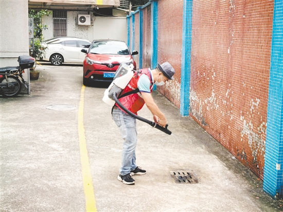 為保障新學(xué)期師生健康安全，鶴山市教育系統(tǒng)以防蚊滅蚊為重點集中開展校園愛國衛(wèi)生專項行動。