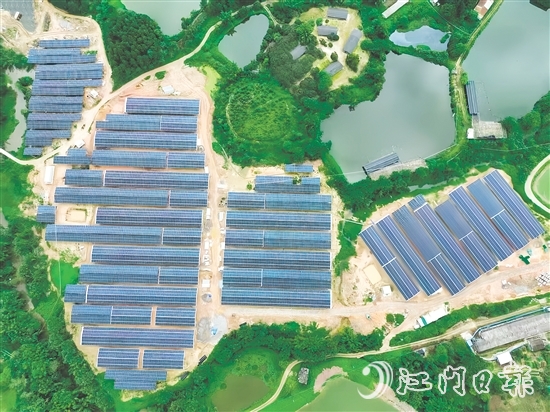 光伏板發(fā)的電不僅滿足養(yǎng)雞場自身需求，還能并入電網(wǎng)，產(chǎn)生經(jīng)濟效益。