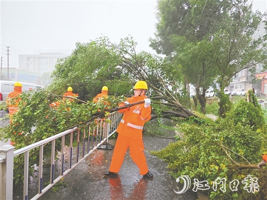工作人員冒著風(fēng)雨作業(yè)，清理倒伏樹木。
