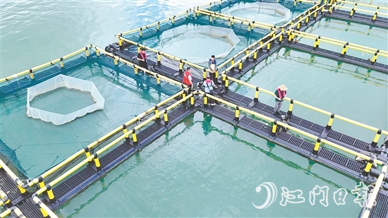 臺風(fēng)到來前，江門人保財險理賠人員奔赴川島沿岸海洋牧場，勘察安全隱患。