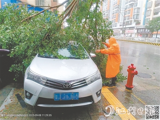 平安產(chǎn)險查勘員在巡查中看到一輛汽車被倒下的大樹壓住，馬上聯(lián)系車主并協(xié)助清理。