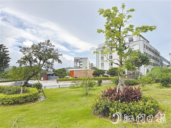 口袋公園不僅為社區(qū)拓展了綠色空間，更成了居民茶余飯后的休閑新去處。