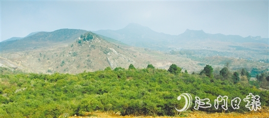 利奧集團(tuán)經(jīng)過(guò)多番考察，尋找到合適的山地種植油茶樹。