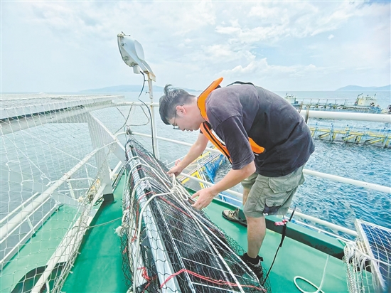 工作人員對“臺山1號”的太陽能板進行加固。