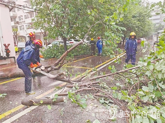 江南街道工作人員清理倒伏樹木。