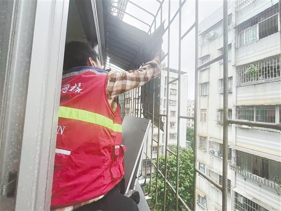 蓬江區(qū)育德社區(qū)網(wǎng)格員協(xié)助屋主及時(shí)將松動(dòng)的鐵皮擋雨板拆下，消除安全隱患。任佳燕