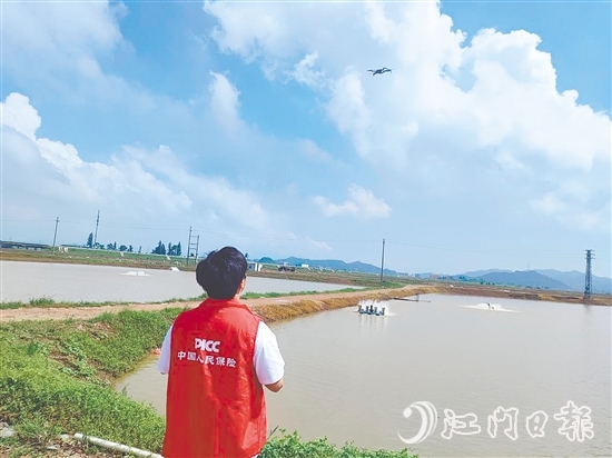 江門人保財(cái)險(xiǎn)工作人員現(xiàn)場(chǎng)開(kāi)展前置性風(fēng)險(xiǎn)排查與防護(hù)指導(dǎo)。