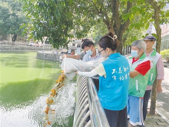 大家協(xié)力將“滅蚊魚”投放到甘化新村的人工湖。