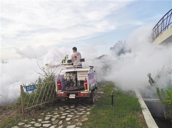 開平市塘口鎮(zhèn)通過多種方式應用煙霧機滅蚊。圖為煙霧機搭配農用車對蚊蟲進行滅殺。