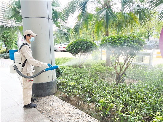 江門市婦幼保健院開展蚊蟲消殺行動，打造“無蚊醫(yī)院”。