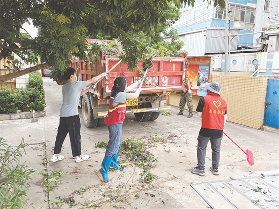 蓬江區(qū)在環(huán)市街道里村社區(qū)舊村片區(qū)開展攻堅行動。圖為環(huán)境整治組工作人員清理野生綠植。任佳燕