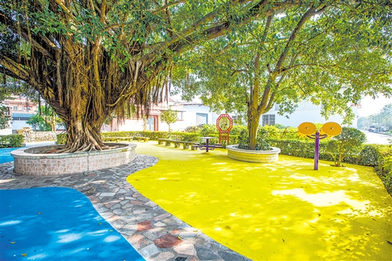 鶴山推動村居小公園環(huán)境整治，為群眾提供舒適的生活環(huán)境。圖為位于桃源鎮(zhèn)的一處口袋公園。