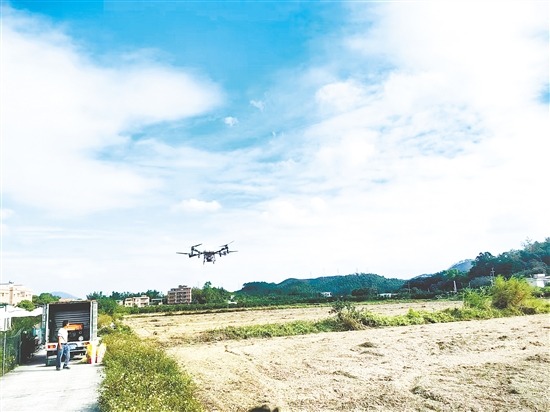 鶴山加快推進(jìn)2025年糧食冬種生產(chǎn)工作。圖為鶴山市供銷社開展植保無人機(jī)作業(yè)。