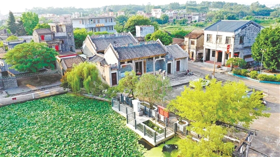 漫步在霄南村，一間間青磚灰瓦的老屋安靜佇立。