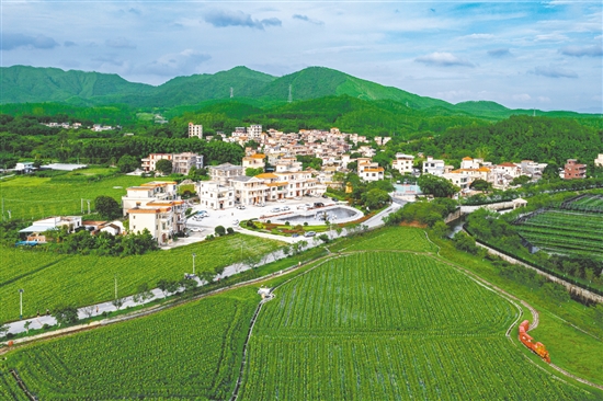 城西村是江門市重點支持建設(shè)的110個綠美鄉(xiāng)村示范村之一，2024年入選廣東省“百千萬工程”第二批典型村培育名單。