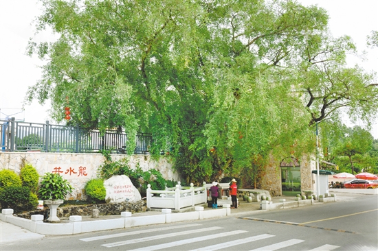 去年，在鄉(xiāng)賢的大力支持下，對井水龍進(jìn)行了修繕，周邊鋪了石板、種了綠植，以及裝了抽水機(jī)及水龍頭，方便村民取水。