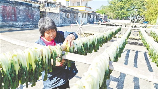 在水步鎮(zhèn)羅邊永樂村，一幅幅生動(dòng)的“曬秋圖”正在上演。