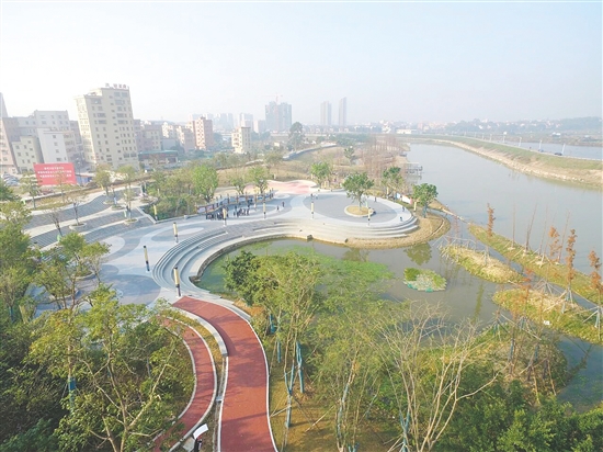 沙坪河“清泉如許”小微濕地。