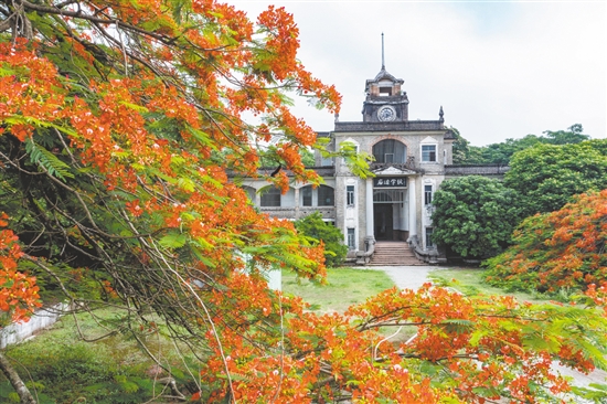 在臺(tái)山取景拍攝的影視作品將僑鄉(xiāng)的百年僑校等歷史遺存與地域風(fēng)貌生動(dòng)呈現(xiàn)。圖為端芬鎮(zhèn)廟邊學(xué)校。