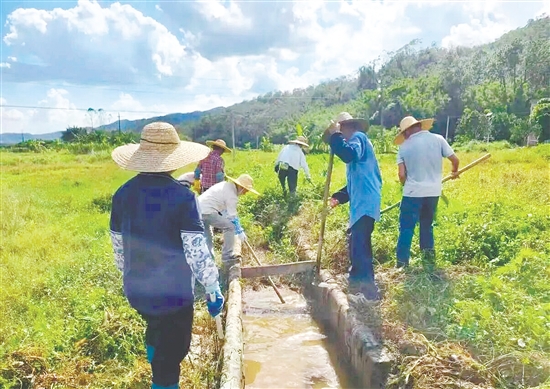 鶴城鎮(zhèn)組織黨員干部群眾開展清淤工作。