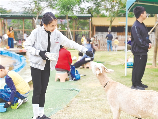 在江門(mén)版“瘋狂動(dòng)物城”里，小朋友與小動(dòng)物親密互動(dòng)，感受現(xiàn)實(shí)中的童趣與奇妙。