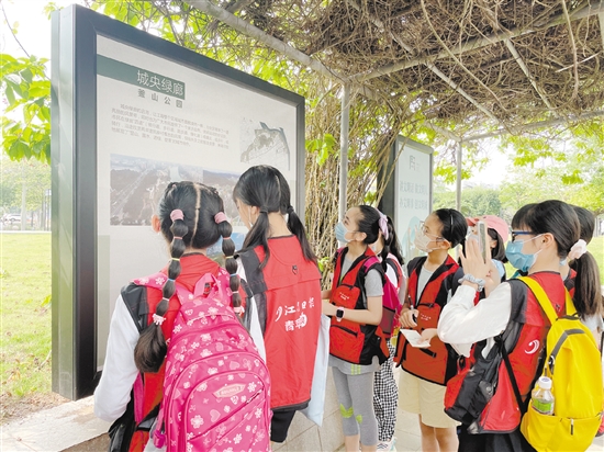 小記者們邊走邊看，感受江海城市品質(zhì)提升。