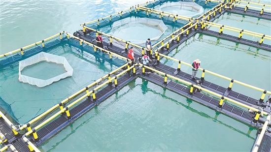 臺(tái)風(fēng)到來(lái)前，江門(mén)人保財(cái)險(xiǎn)理賠人員奔赴川島沿岸海洋牧場(chǎng)，勘察安全隱患。