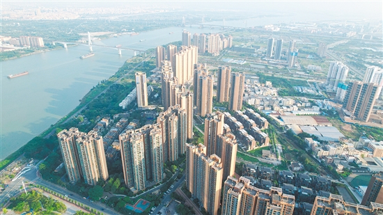 外海板塊樓盤多了起來(lái)。