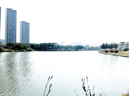 近年來，江門居住環(huán)境越來越好。